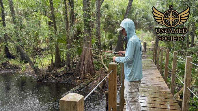 Unplugged and Outdoors: Why We Built the Untamed Society